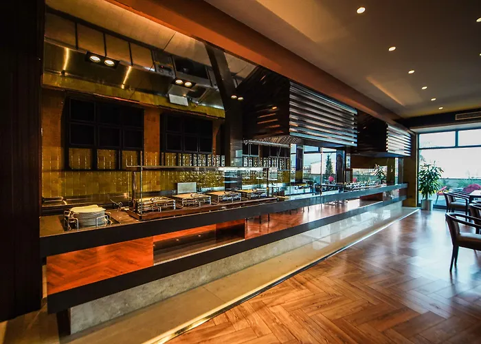 Almira Thermal & Convention Center Отель Бурса